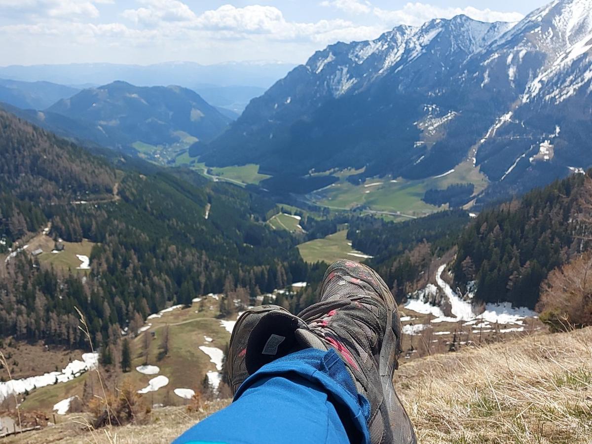 Auszeit Steiraland 6 Mit Ueberdachter Terasse Schoenen Garten Und Kostenlosen Parkplatz Leoben  Dış mekan fotoğraf